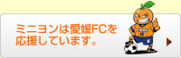 ミニヨンは愛媛FCを応援しています。